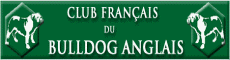 English bulldog French club